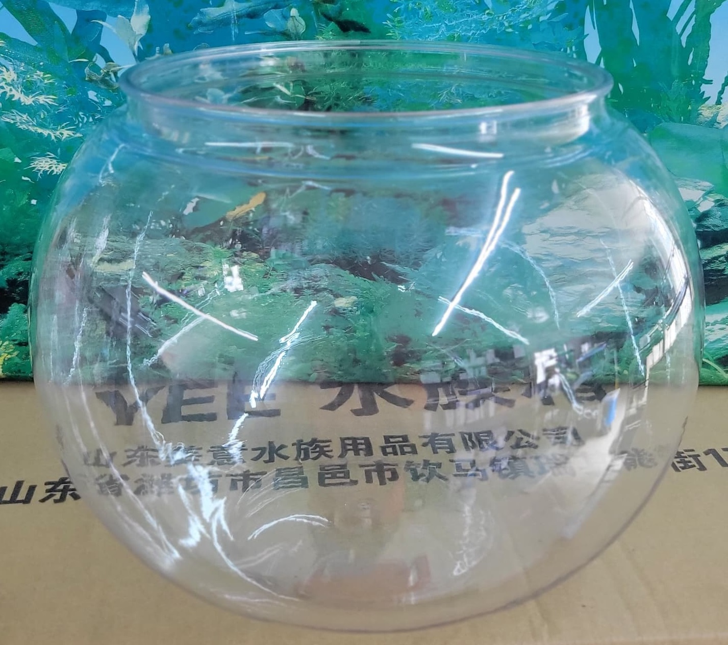 PLASTIC BAWLL SMALL