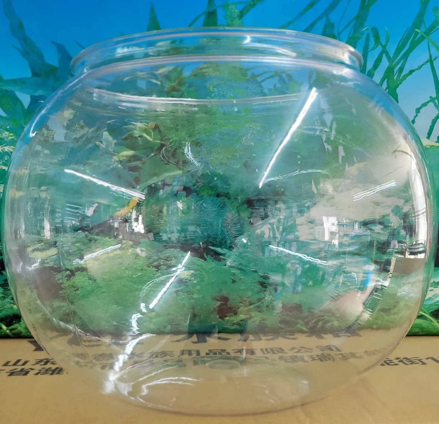 PLASTIC BAWLL Large