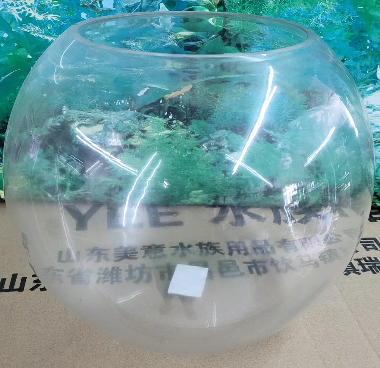 Bawll aqua GLASS