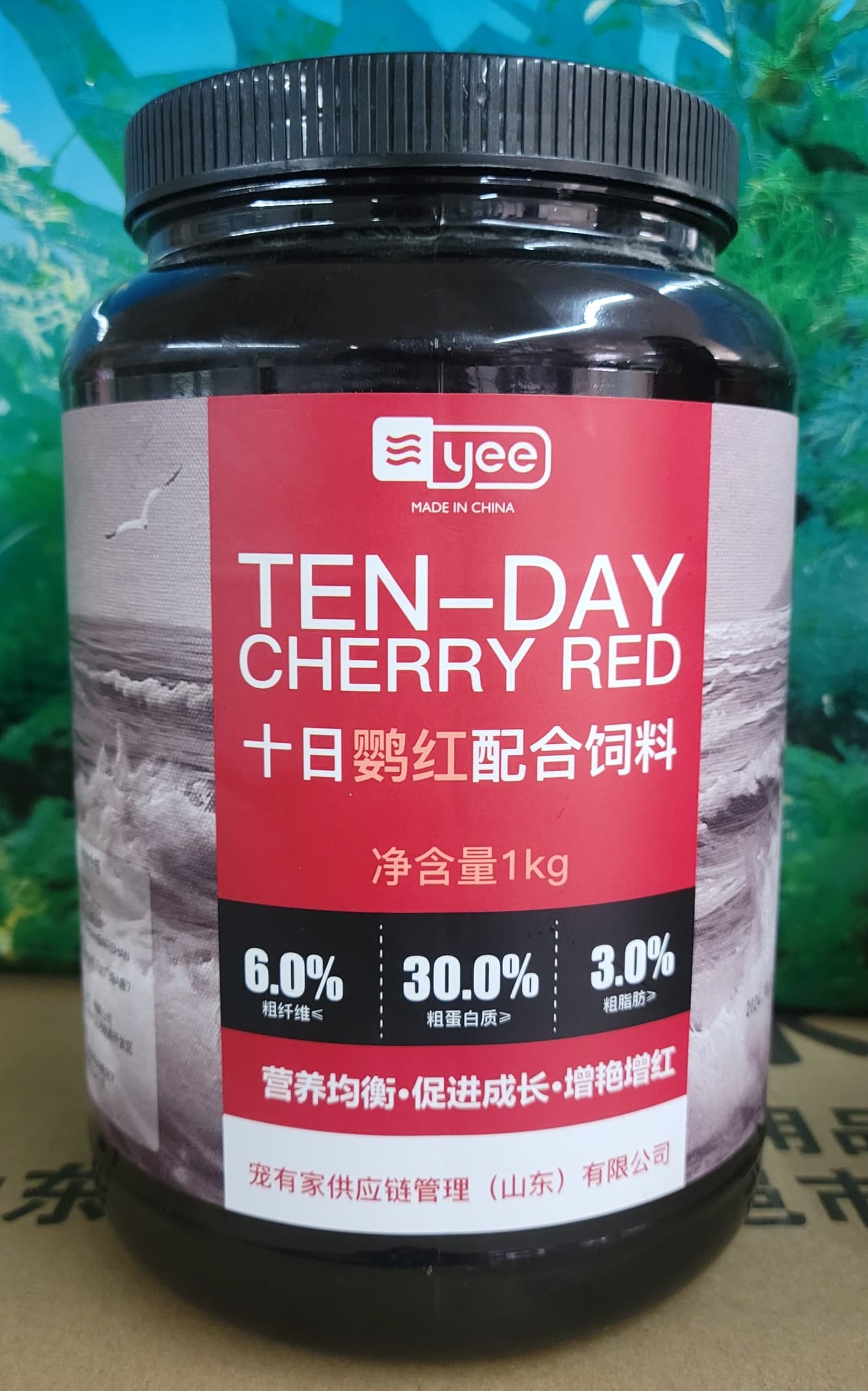 TEN DAY CHERRY RED kg.1