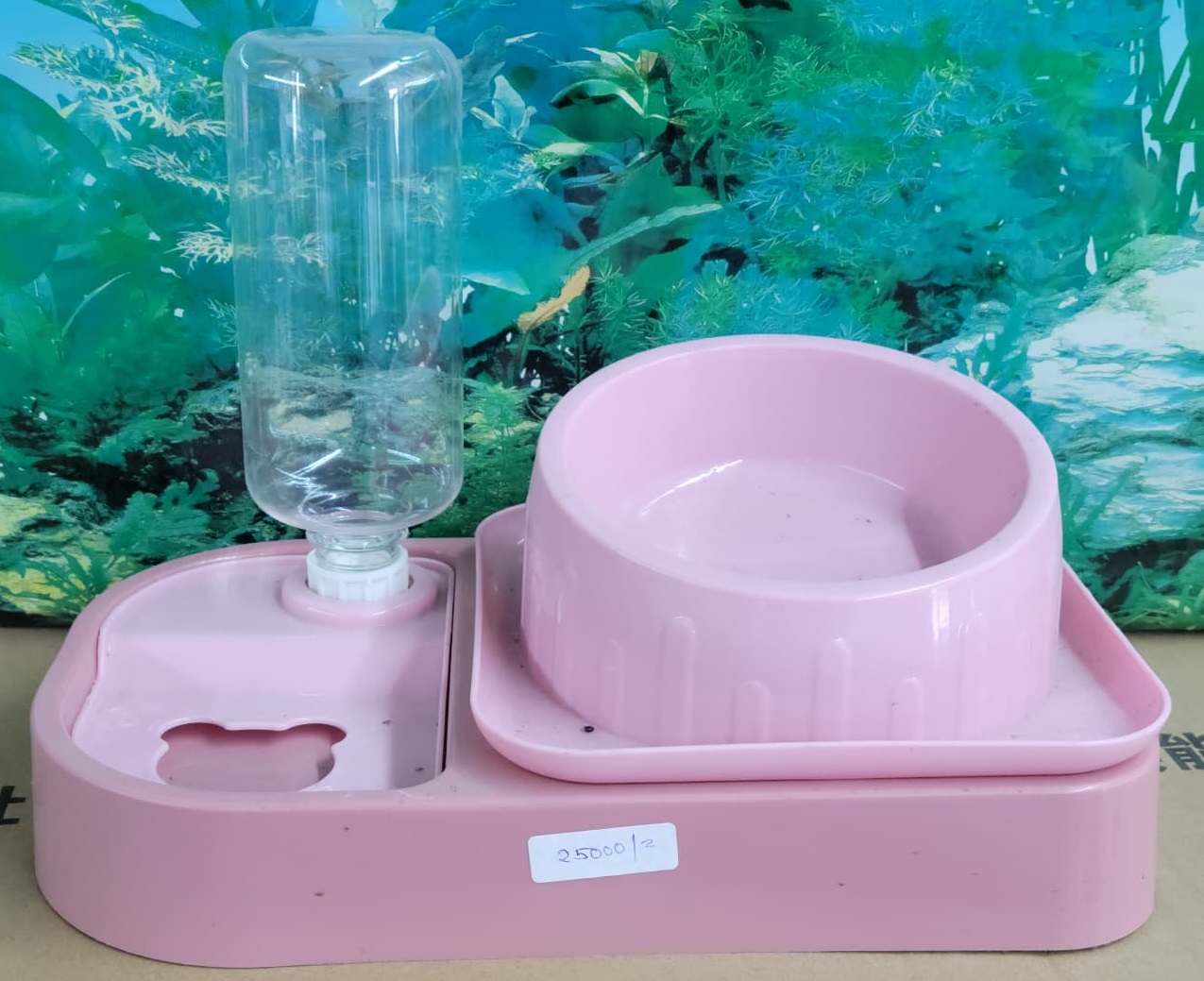 Cat feeder